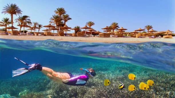 Kızıldeniz Rüyası Sharm El Sheikh Freebird Hava Yolları İle 4 Gece 5 Gün (Kurban Bayramı Özel)