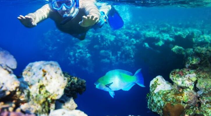 Kızıl Deniz (sharm) Ve Kahire